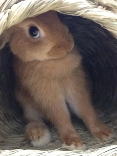 BunnyCheeks on OnlyFans