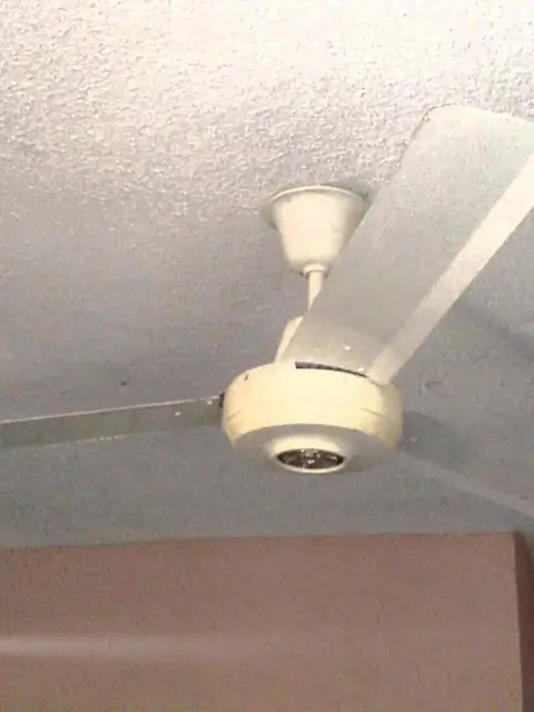Only Fans on OnlyFans