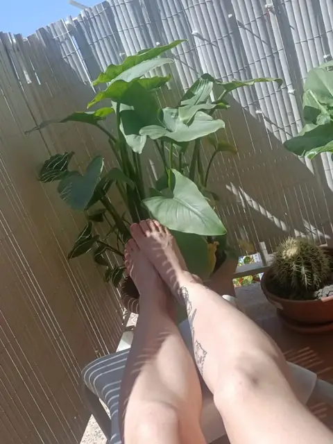 Beauty4feet on OnlyFans