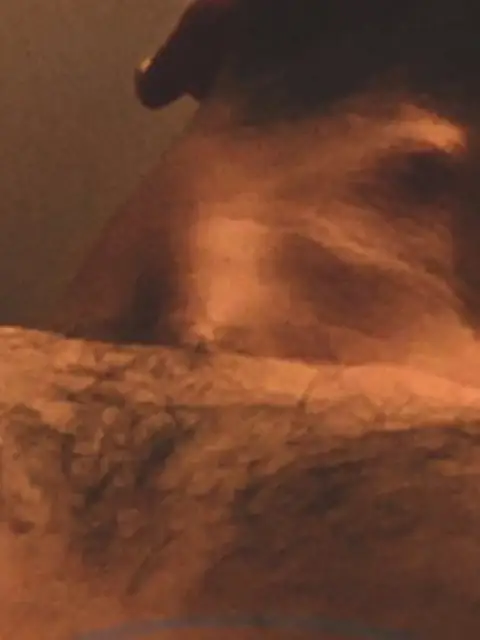wolf on OnlyFans