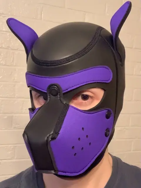 Slave Pup Toby on OnlyFans