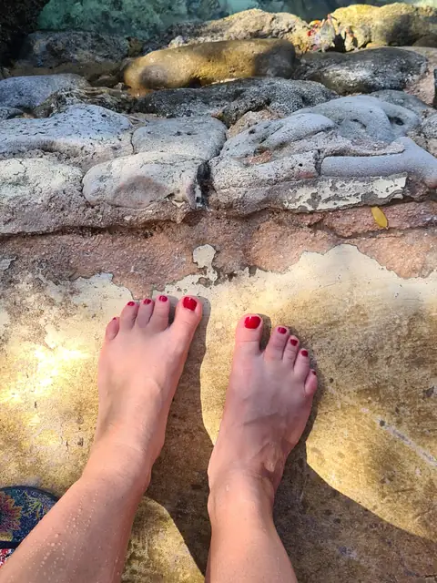 Lily OnlyFans profile