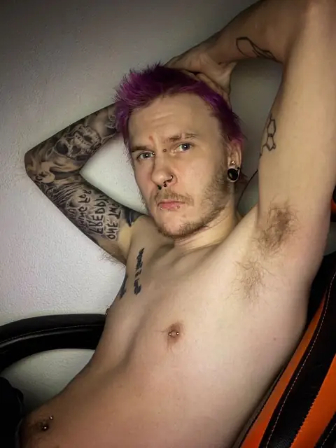 Swedish Punk OnlyFans profile