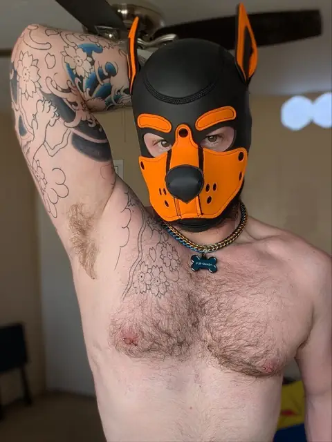 Omega Pup Smash OnlyFans profile